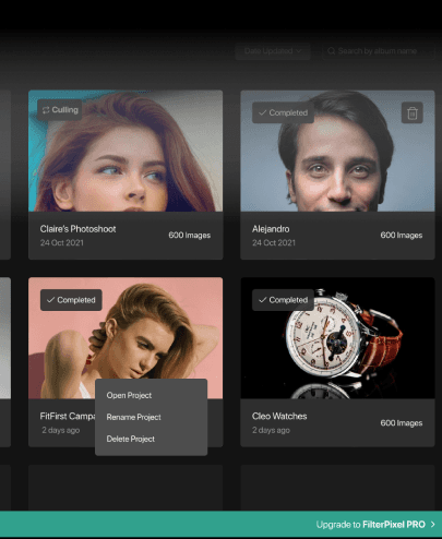 Locates images quickly within large collections.
