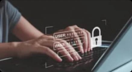 Compliance & IP Protection