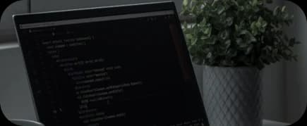 Experienced Frontend Professionals