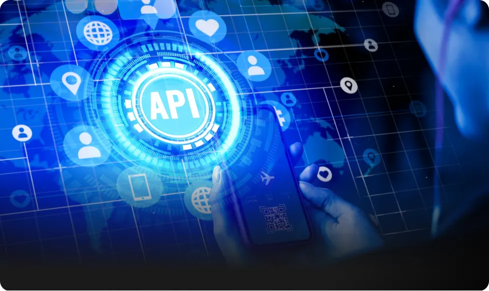 API & Data Integration