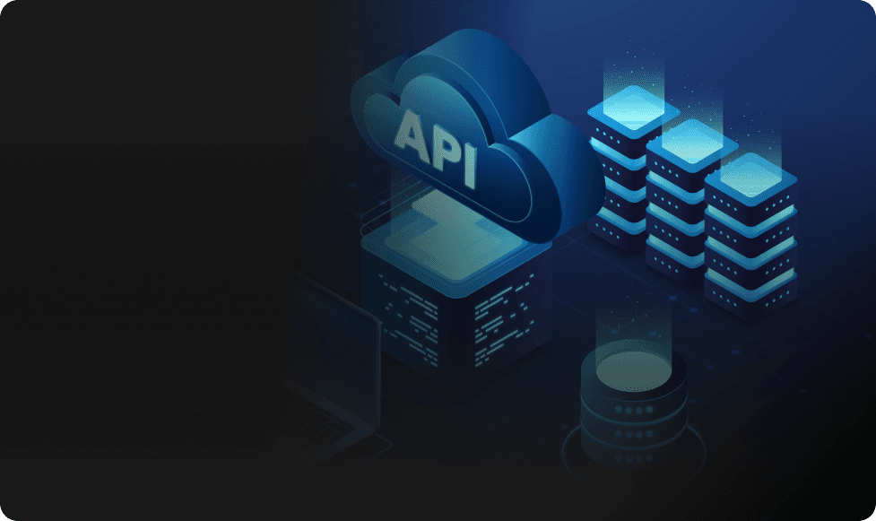 API & Enterprise System Connectivity