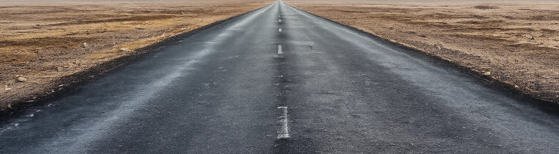 Starling Elevate AI Technology Roadmap Background
