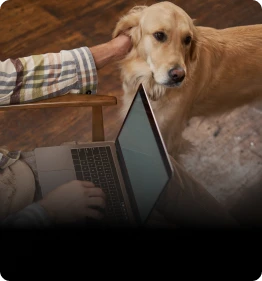 AI processing thousands of pet profiles for recommendations