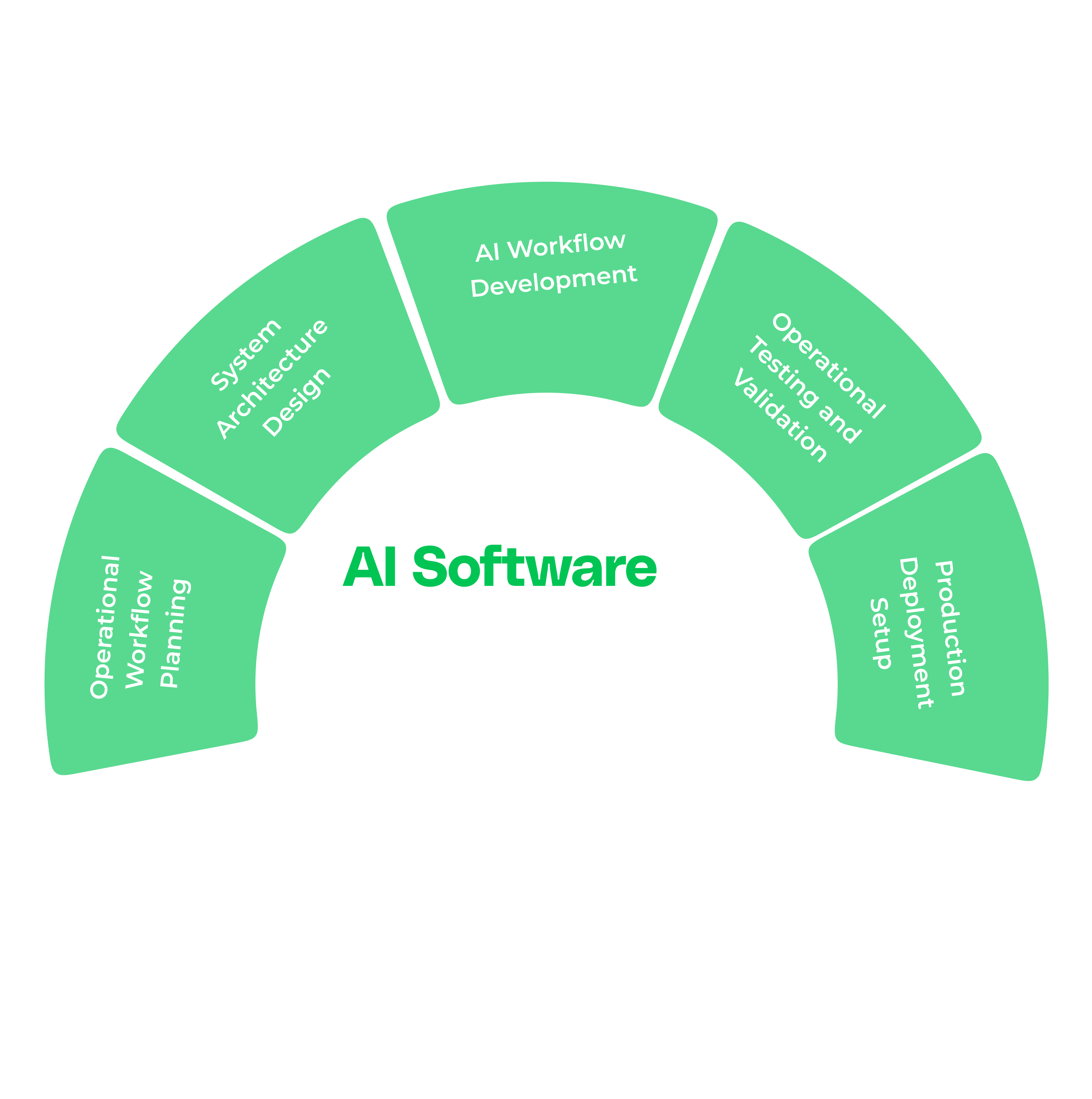 Custom Software Development Process Infographic