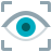 Vision Language Models (VLMs)